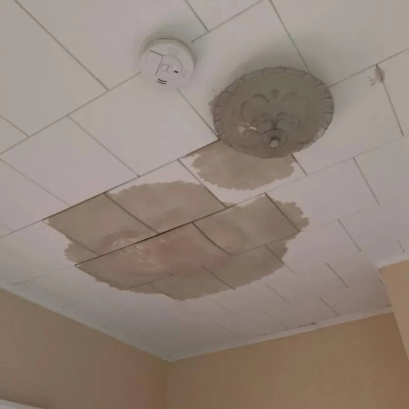Ceiling Water Damage Repair in Scott Air Force Base, IL