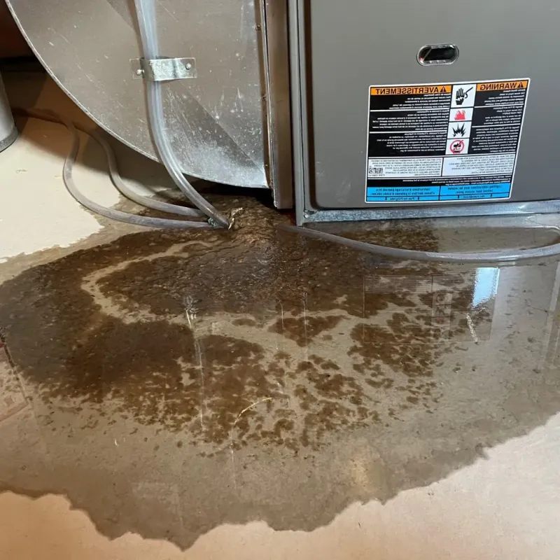 Pipe Burst and Leak Restoration in Scott Air Force Base, IL