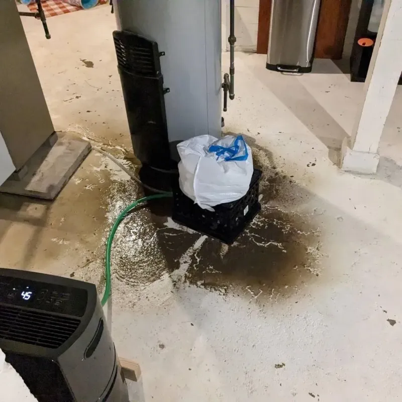 Sewage Backup Cleanup Service in Scott Air Force Base, IL